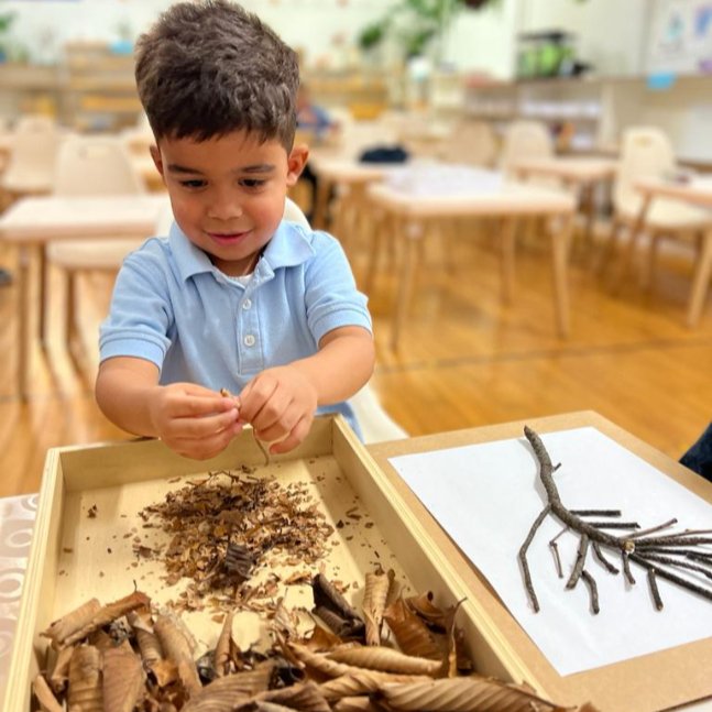 MontessoriActivities