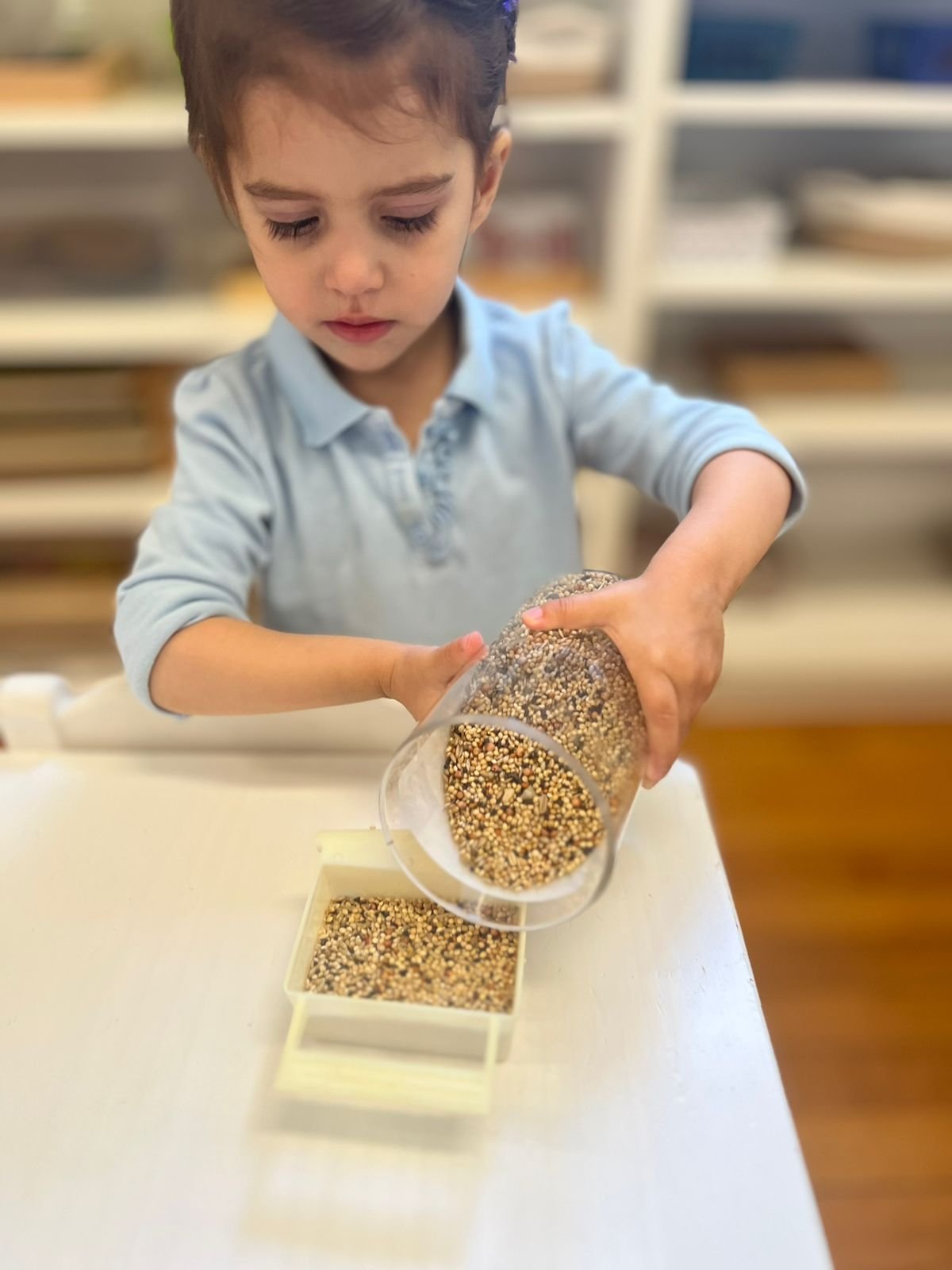 what-is-a-montessori-education